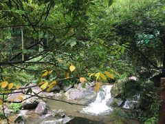 -藏龙百瀑风景区