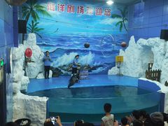 -左海海底世界