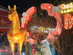-越秀西湖花市(广州城市广场花卉店)