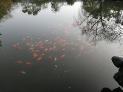 -苏堤停车场
