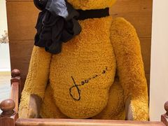 -济州岛泰迪熊博物馆