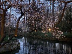 -星巴克(杭州北山路店)