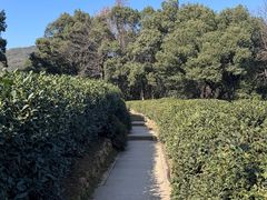 -西湖风景区十里琅珰-五云山