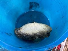 -蓝湾碧波·老字号·疍家非遗海上餐厅