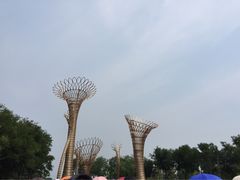 -武清南湖绿博园