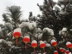 -北京市圣克弗斯幼儿园·Think first(月亮河校区)