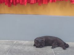 -龙华素斋(龙华路店)