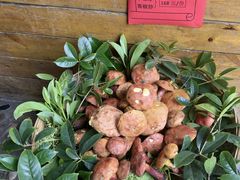 -老滇山寨•云南特色菜•地方菜•民族风情歌舞表演(呈贡店)