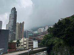 -香港大学