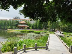 -东山湖公园