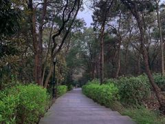 -宝界山林公园