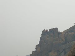 -崂山仰口游览区
