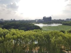-东华大学(松江校区)