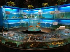 水产区-眉州东坡(北苑华贸店)
