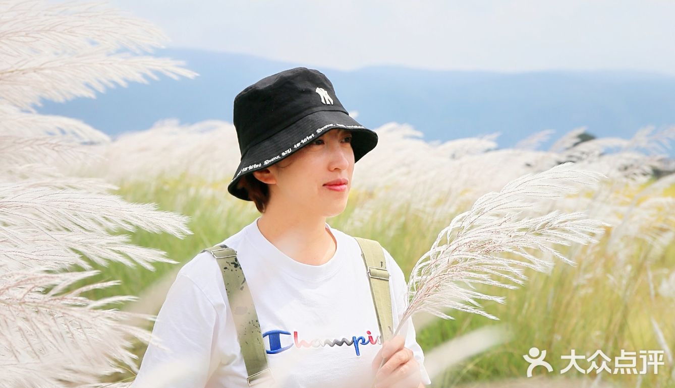 风吹芦苇荡，思念我阿娘