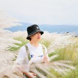 风吹芦苇荡，思念我阿娘