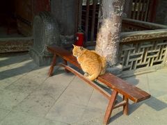 -大学习巷清真寺