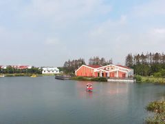 -上海长兴岛郊野公园