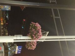 -沈家门渔港