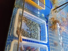 -星伦多自助料理·涮烤一体(虹悦城店)
