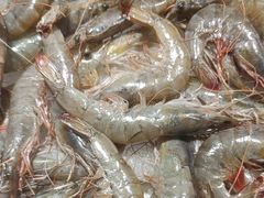 -星伦多自助料理·涮烤一体(嘉兴八佰伴店)