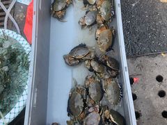 -芦潮港集贸市场