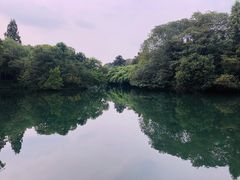 -巴依老爷·新疆美食(上城区天城路店)