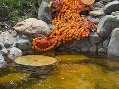 -湖泉半山温泉(湖泉生态园)