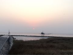 -南汇嘴观海公园