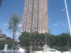 -汪正影业素摄儿童摄影工作室(星摩尔购物中心店)