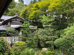 -三千院