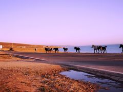 -青海湖国家重点风景名胜区