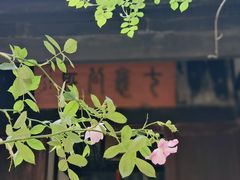 -艺圃