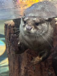 -Zoolung Zoolung动物主题公园(海信广场店)