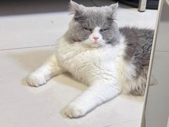 -爱诺耐芙动物医院(万博店)