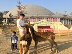 -盈香心动乐园