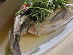 葱蒸瘦身皖-粥旺庄(芳村店)