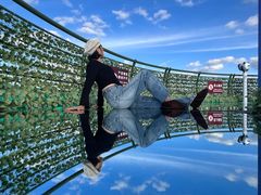 -黄海国家森林公园