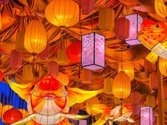 -正佳雨林生态植物园