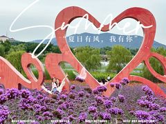 -西京湾花海