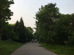 -望湖公园