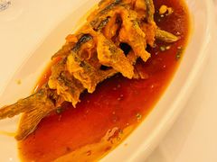 老济南糖醋鲤鱼-金春禧(世茂国际广场店)