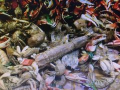 -星海汇海鲜自助烤肉火锅(百大店)