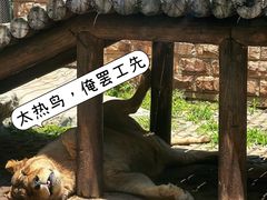 -赭山公园