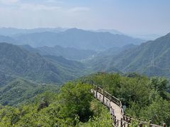 -大岭沟猕猴桃谷风景区