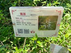 -广州神农草堂中医药博物馆