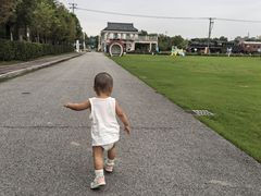 -菊园百果园