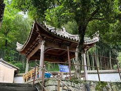 -阿育王寺
