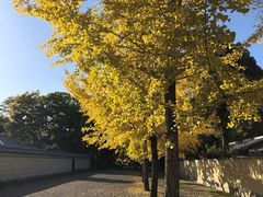 -京都御所
