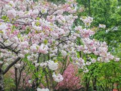 -江南大学(蠡湖校区)